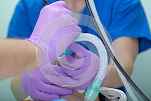 Pulmonary examination through the endotracheal tube