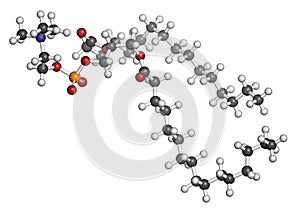 Pulmonary surfactant molecule. Chemical structure of dipalmitoylphosphatidylcholine DPPC the major constituent of lung.