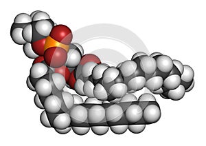 Pulmonary surfactant molecule. Chemical structure of dipalmitoylphosphatidylcholine DPPC the major constituent of lung.