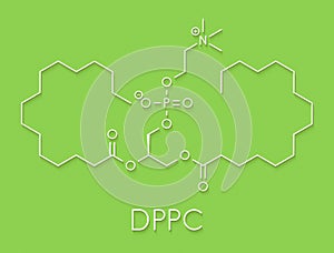 Pulmonary surfactant molecule. Chemical structure of dipalmitoylphosphatidylcholine DPPC the major constituent of lung.