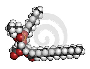 Pulmonary surfactant molecule. Chemical structure of dipalmitoylphosphatidylcholine DPPC the major constituent of lung.