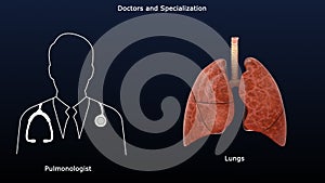 Pulmonologist - Doctor and Specialization of the respiratory system photo