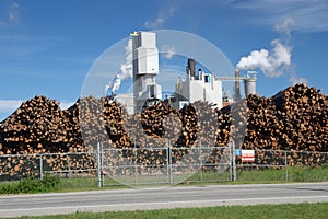 Pulp Mill