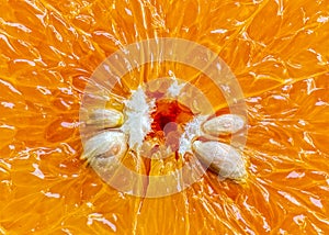 Pulp of orange fruit in detail. Macro Photograph of the pulp of an orange with a detail of gummy candy and seeds.