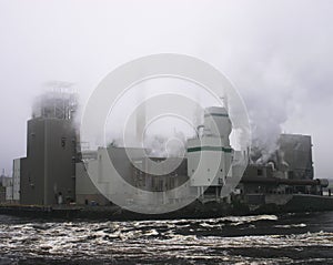 Pulp and Paper Mill