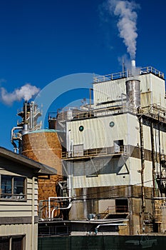 Pulp and paper mill,