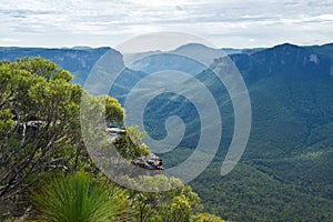 Pulpit Rock Lookout in Blue Mountains
