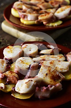 Pulpo a la gallega, a spanish recipe of octopus photo