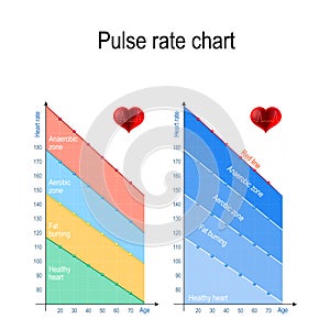 Pulse rate chart for healthy lifestyle. Maximum heart rate