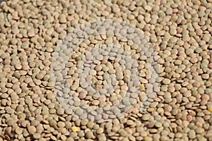 Pulses of extraordinary beautiful color and delicious taste photo