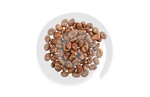 Pulses - Faba Beans on White Background