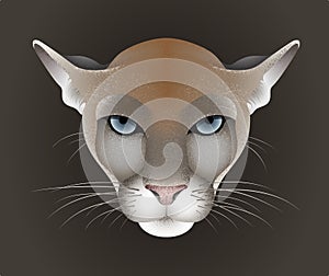 Puma, cougar vector portrait isolated on dark background