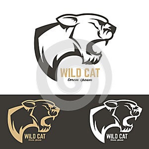 Puma head. Wild cat.