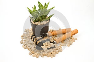 Pumice pebbles in cray pot and gardening tool