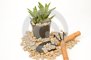 Pumice pebbles in cray pot and gardening tool