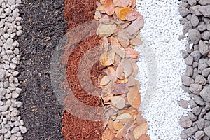 Pumice pebbles ,volcanic rock, White perlite,dry leaves ,coconut coir and soil