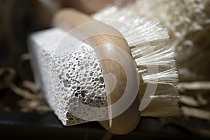 Pumice Stone and Brush photo