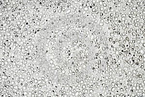 Pumice stone grey background close-up pumicite porous volcanic glass with frozen bubbles, background wallpaper, uniform texture