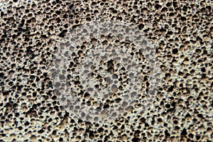 Pumice stone is a natural grey porous stone