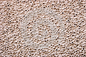 Pumice stone (Texture)