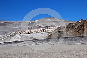 Pumice stones at Campo de Piedra Pomez, Catamarca, Argentina photo