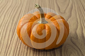 Pumkin