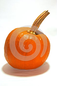 Pumkin
