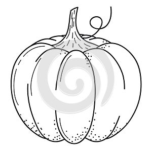 Pumkin scketch. Doodle style. Line art.