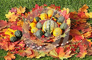 Pumkins with autmnal decorations