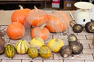 Pumkins. photo