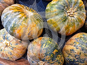 Pumkins on display for sale