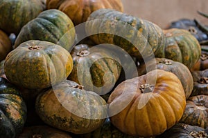 Pumkins at the market