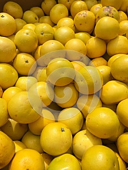 Pummelo, Pomelo, Shaddock photo