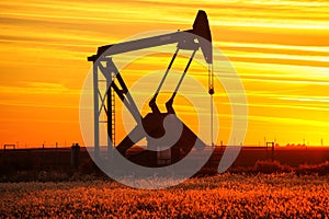 Pump jack in the oil field at sunset