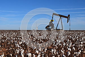 Llano Estacado Oil and Cotton photo