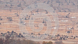 Pump jacks on oil field, USA. Rigs for crude fossil extraction on oilfield wells