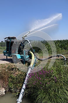 Pump and spray. Watering system for farming