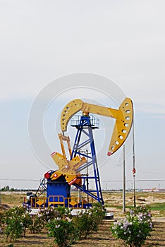 Pumping oil photo