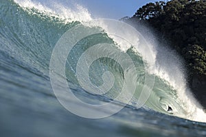 Pumping Surf, NZ