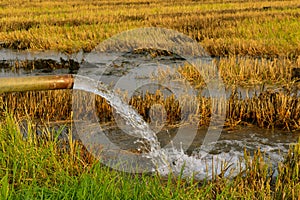 Pumping water into the fields.