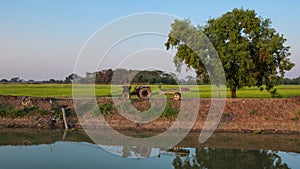 Pumping water into the fields