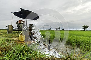 Pumping water into the fields