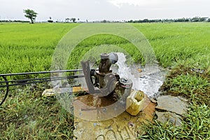 Pumping water into the fields