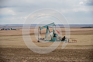 Pumpjacks working in the oil fields of Alberta