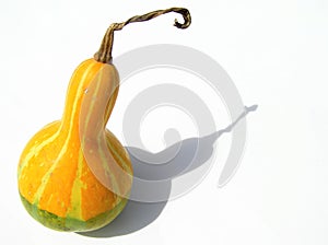 Calabaza 