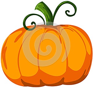 Pumpkin