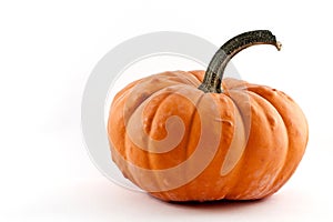 Pumpkin photo