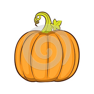 Pumpkin