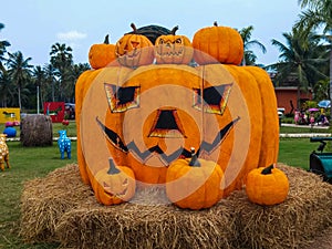 The pumpkin