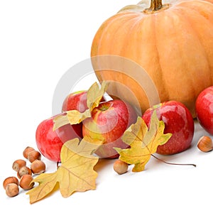 Pumpkin, apples and hazel isolated on white background.